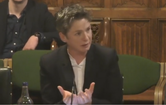 Sinéad Mc Brearty at Select Committee